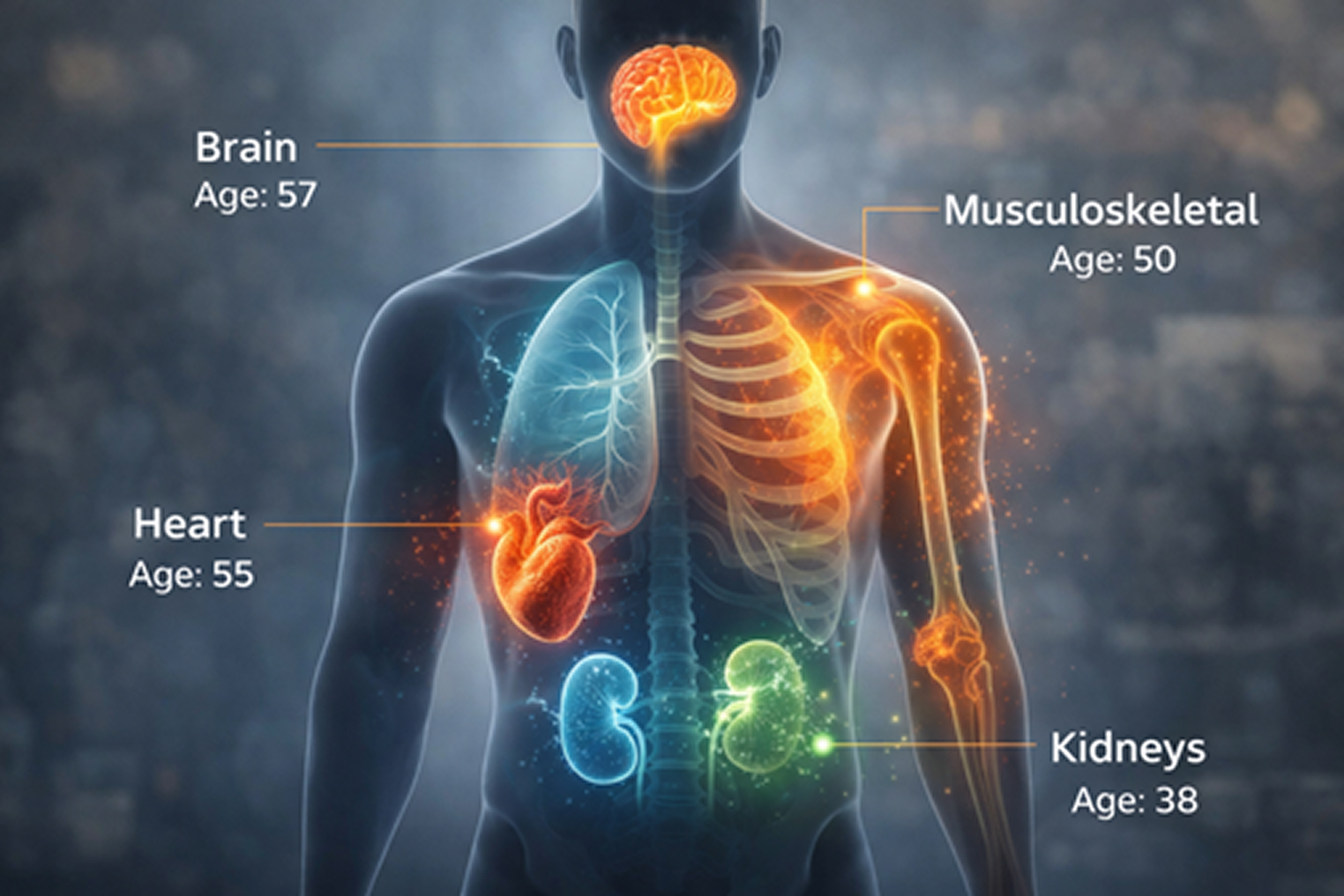 image health image new