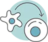 Chronic Inflammation icon