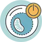 Disabled Macroautophagy icon