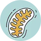 Mitochondrial Dysfunction icon