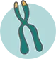 Telomere Attrition icon